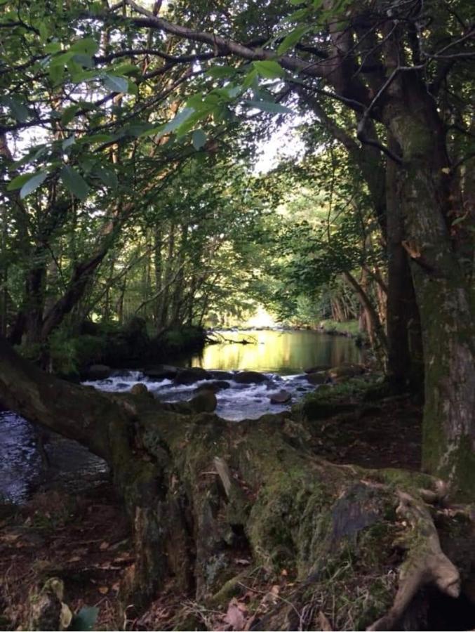 Snowdon Lodge - Glan Gwna Holiday Park Caernarfon - Luxury Family Lodge Esterno foto